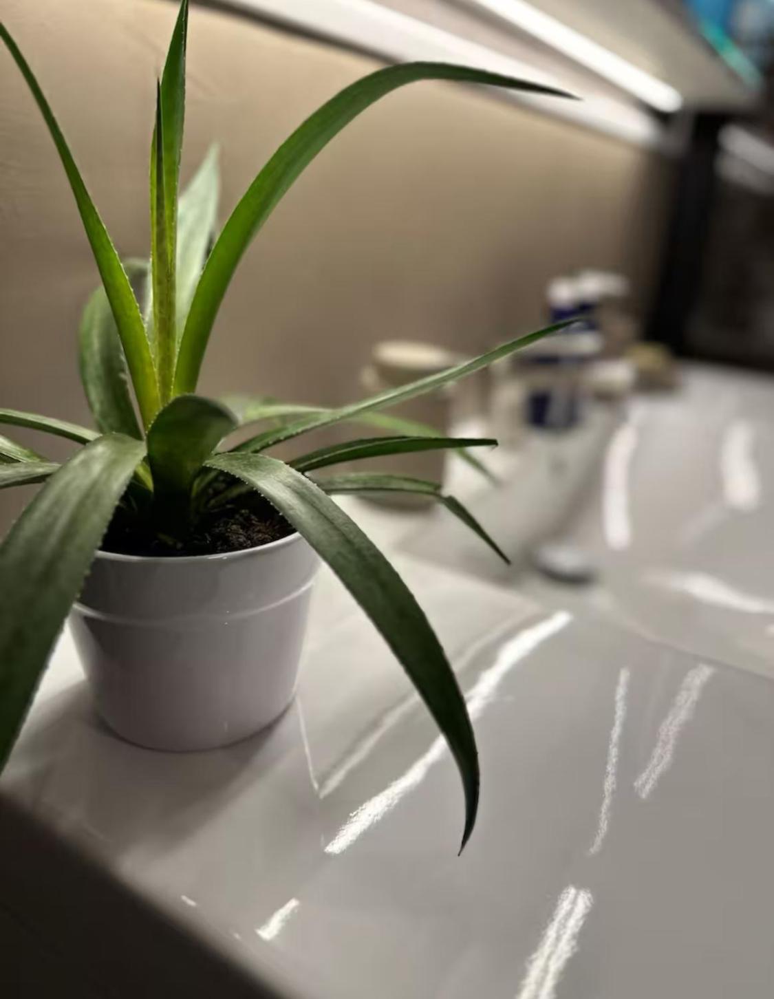 Vakker Og Romslig Pa Kvaloysletta Apartment Tromso