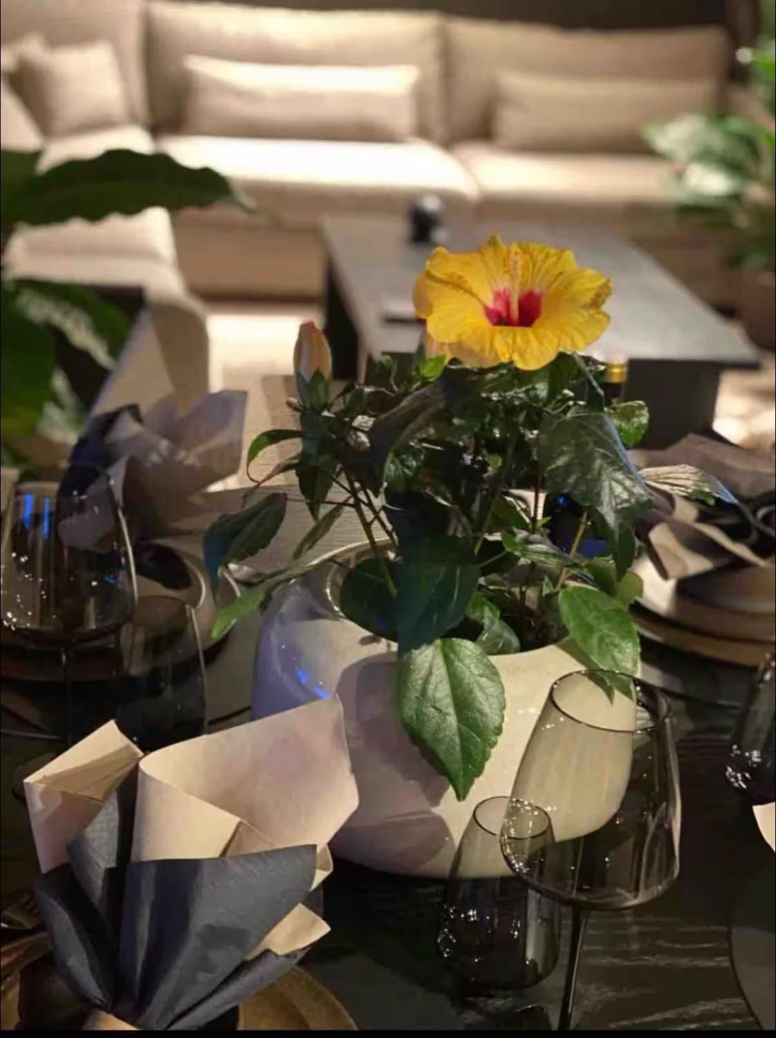 Vakker Og Romslig Pa Kvaloysletta Apartment